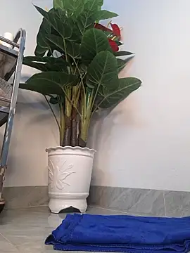 Dawn hope online show from March 24, 9:42 am