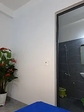 Dawn hope online show from February 26, 2:44 am