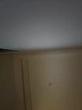 palzkybi123 online show from March 1, 1:00 pm