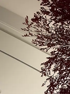 palzkybi123 online show from October 22, 12:04 pm