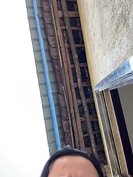 palzkybi123 online show from November 15, 4:27 am