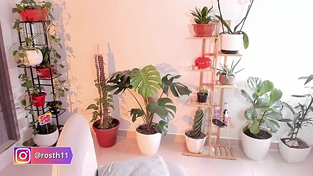 rossth1 online show from November 11, 8:36 pm