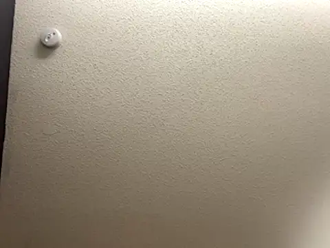 Snapshot of Bigbootylavishh chatting on December 17, 4:34 pm Bigbootylavishh online show from December 17, 4:34 pm