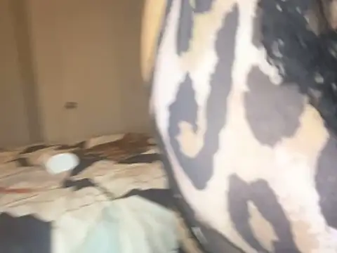 Snapshot of Missredboneo12 chatting on October 26, 4:46 am Missredboneo12 online show from October 26, 4:46 am