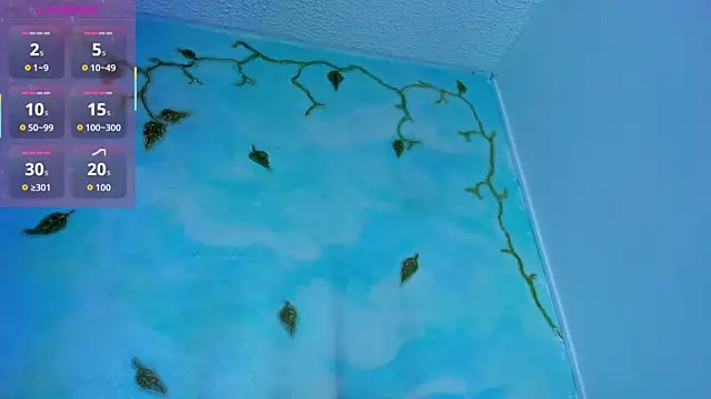 SaturnooStonee online show from March 8, 2:04 am