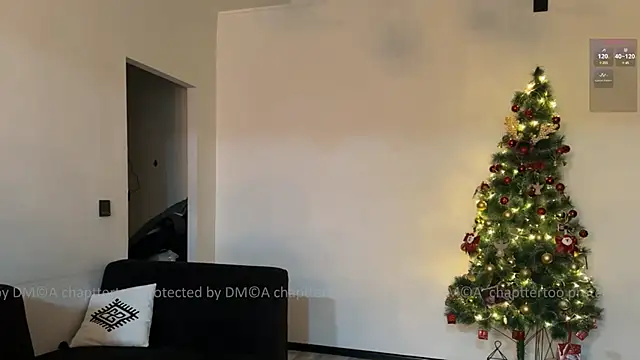 Snapshot of Chaptertoo chatting on January 22, 5:28 pm Chaptertoo online show from January 22, 5:28 pm