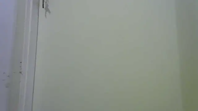 funguybr36 online show from February 22, 4:37 am