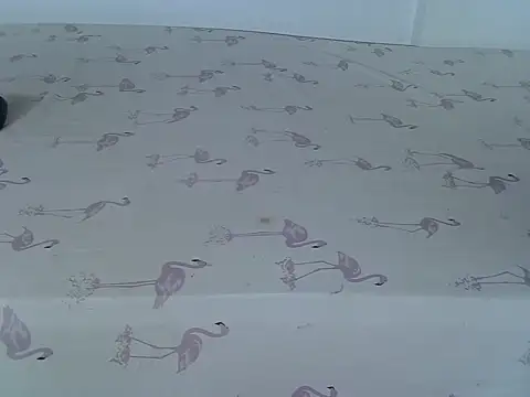 laetitia  online show from March 2, 1:17 am