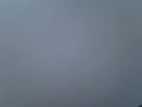 laetitia  online show from November 2, 4:56 pm