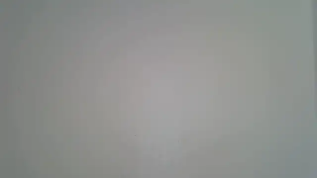 laetitia  online show from April 20, 12:52 pm