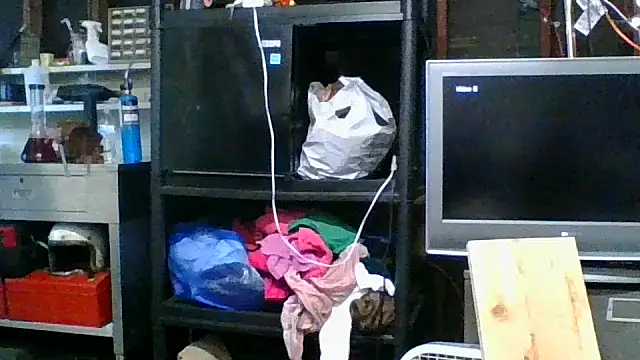 allissonw13 online show from November 5, 11:19 pm