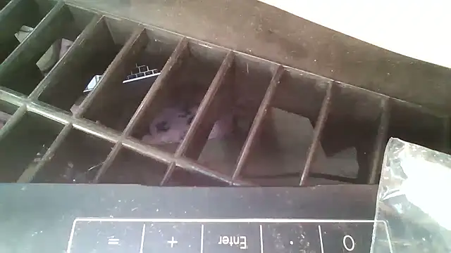 allissonw13 online show from October 23, 8:46 am