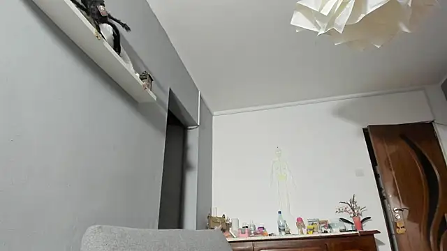 SexxyMeriem online show from November 17, 3:49 pm