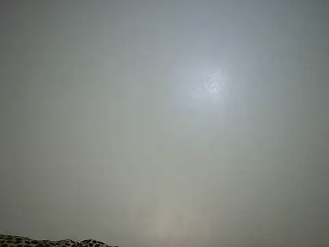 Toxique  online show from June 26, 5:52 pm