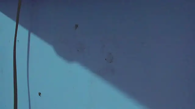 Kimberly thompsom online show from January 31, 11:45 pm