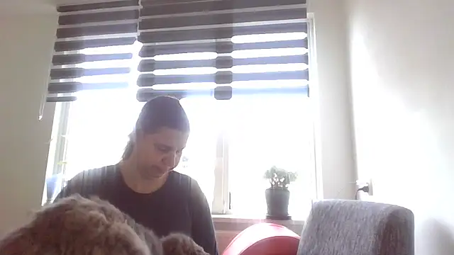 Snapshot of Mir_boobs_ chatting on November 3, 11:14 am Mir boobs online show from November 3, 11:14 am