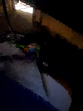 daddysmalldick502 online show from November 4, 6:44 pm