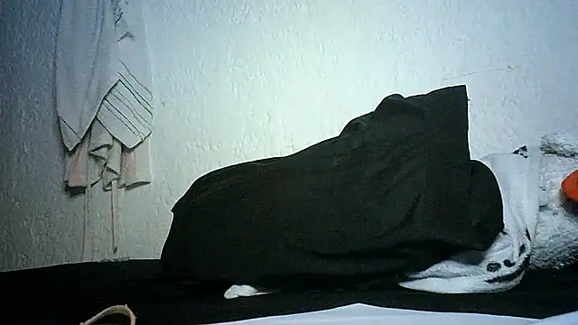 Snapshot of Bellabeltrann chatting on November 28, 11:49 pm Bellabeltrann online show from November 28, 11:49 pm