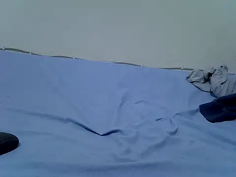 pointy bloom online show from November 10, 4:23 pm