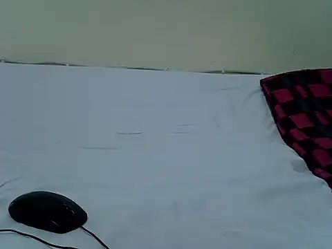 pointy bloom online show from November 14, 4:32 pm