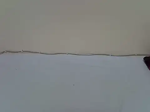 pointy bloom online show from January 10, 8:53 am