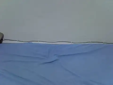 pointy bloom online show from January 31, 7:23 pm