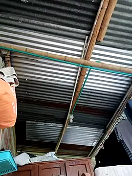 Janle 19c online show from September 14, 8:09 pm