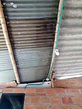 Janle 19c online show from December 6, 5:06 pm