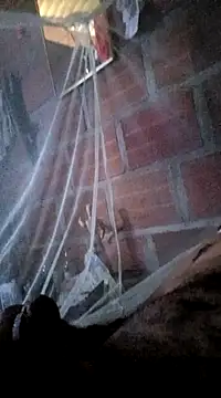 Janle 19c online show from January 7, 7:06 pm