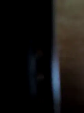 SpiceLea online show from November 29, 12:05 pm