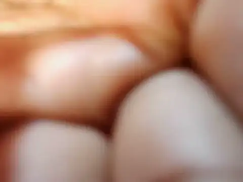 petitev online show from November 15, 4:27 am