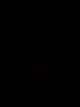 Noviostoxico online show from October 29, 9:36 pm