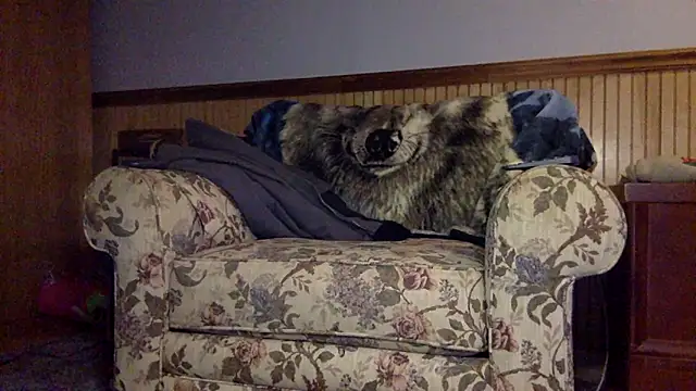 tongueispowerr6d9 online show from March 3, 2:18 am