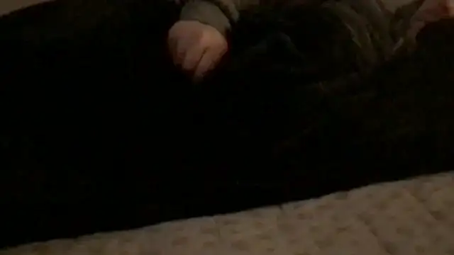 Snapshot of Rock_Pierce chatting on February 28, 1:22 pm Rock Pierce online show from February 28, 1:22 pm