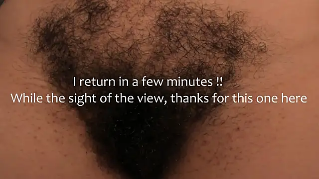 Im coco online show from November 7, 12:31 pm