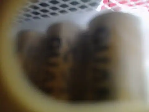 Lovensetest online show from December 17, 1:21 am