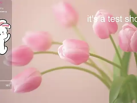 Lovensetest online show from November 11, 6:30 am