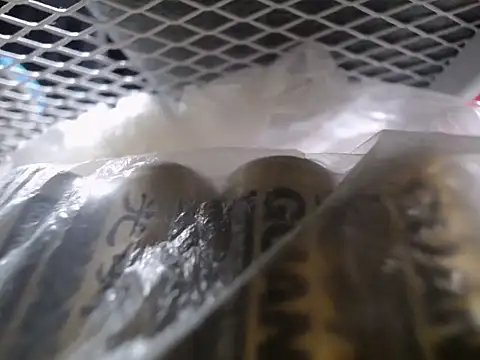 Lovensetest online show from September 30, 7:36 am