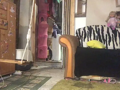 frenkynator online show from November 15, 9:19 pm