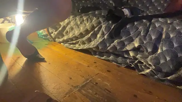 alexheels boots online show from December 3, 2:45 am