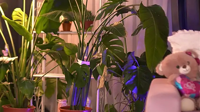 EmilyRaymont online show from December 3, 4:13 am