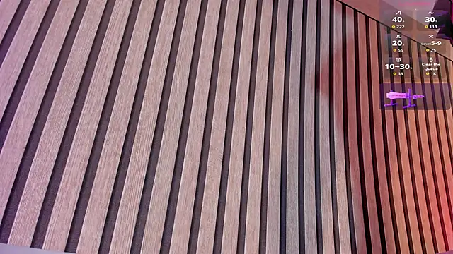 Snapshot of NinaInk chatting on January 18, 1:03 pm NinaInk online show from January 18, 1:03 pm