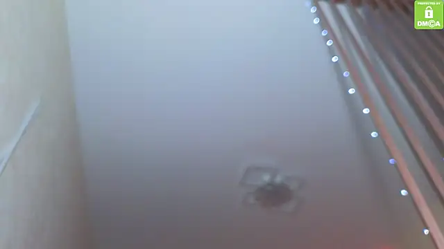 Katy perry  online show from November 27, 3:51 am