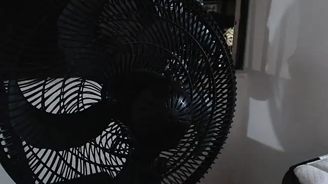 harry greg21 online show from November 15, 2:04 am