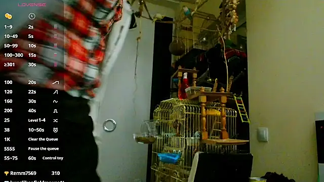 Snapshot of Sophie_Bell chatting on February 6, 9:49 pm Sophie Bell online show from February 6, 9:49 pm