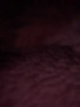 DManL online show from June 18, 2:54 am