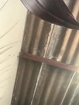 Snapshot of DManL chatting on March 19, 5:29 am DManL online show from March 19, 5:29 am