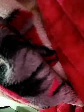 PVNRAO0831 online show from September 23, 4:58 pm