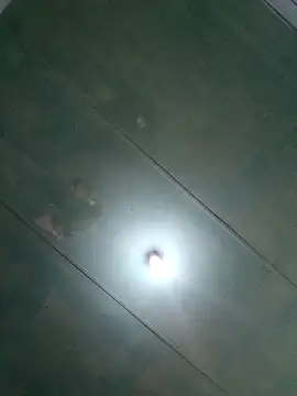 Miss Moriah online show from April 13, 2:32 pm