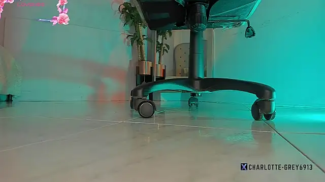 charlotte  grey online show from December 1, 7:48 pm